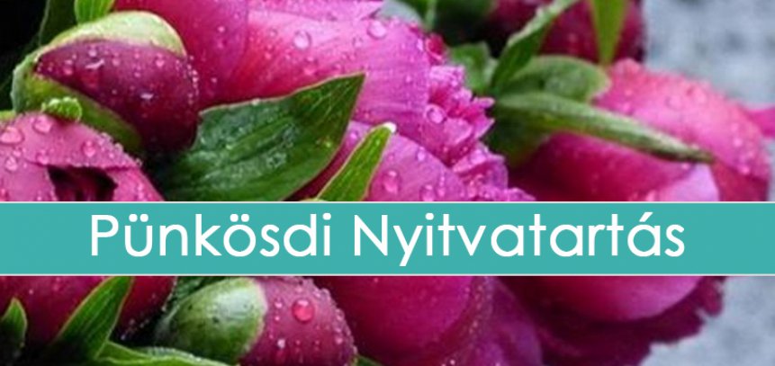 Pünkösdi nyitvatartás